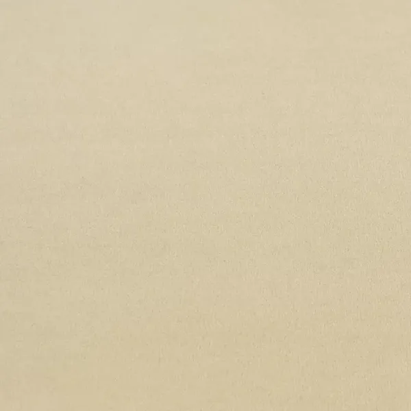 Girloon Standard Webware 2 m Farbe beige – Draufsicht des Teppichbodens